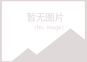 永福县夏岚服务有限公司